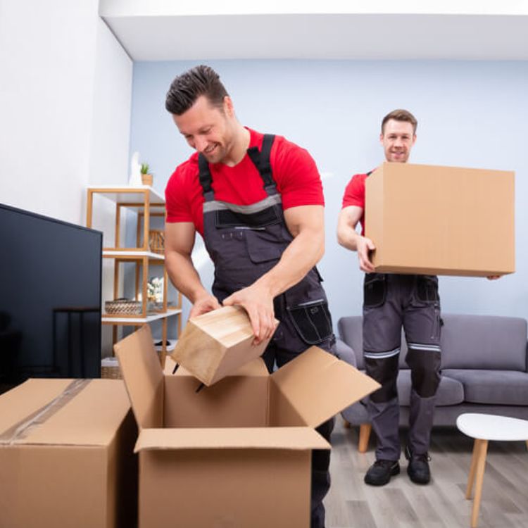 Packing & Unpacking